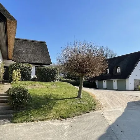 Rural Idyll Under Thatched Roof *