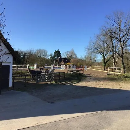 公寓 Rural Idyll Under Thatched Roof Seedorf (Segeberg)